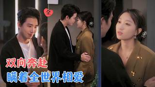 Office Secret Love: From Hidden to Marriage Certificate