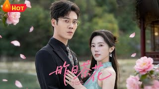 Yesterday's Camellia