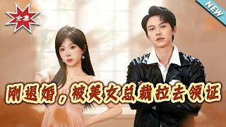 刚退婚，被美女总裁拉去领证