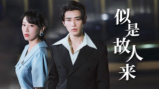 似是故人來