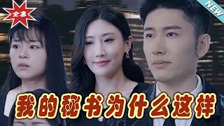 我的秘书为什么这样—大结局