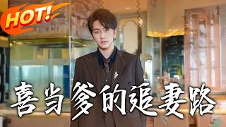 喜当爹的追妻路