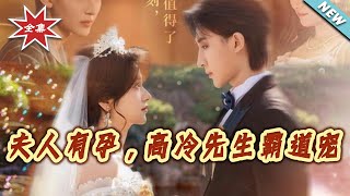 夫人有孕，高冷先生霸道宠