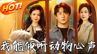 我能傾聽動物心聲