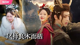 逆襲：脩仙少女的複仇之路