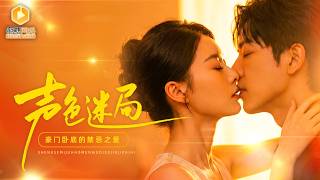 金牌女律师的间谍契约