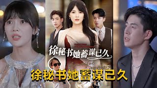 徐秘書她蓄謀已久