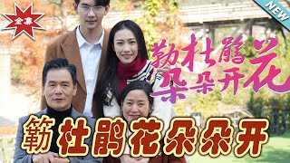 簕杜鹃花开：逆袭之路