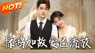 驚鴻如故愛已流放