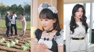 《From Vegetable Farmer to Tycoon: The Prodigal Son Who Hit Every Trend》