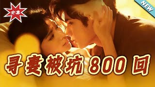 寻妻被坑800回