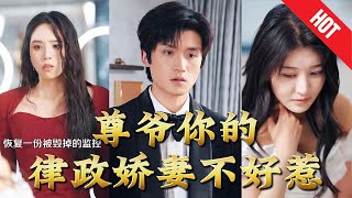 尊爺你的律政嬌妻不好惹