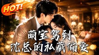 萌宝驾到：沈总的私藏偏爱