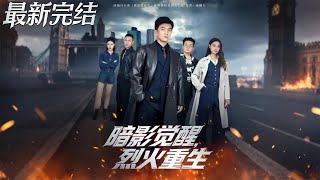 Shadow's Awakening: Reborn from Flames