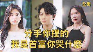 分手你提的我是首富你哭什么