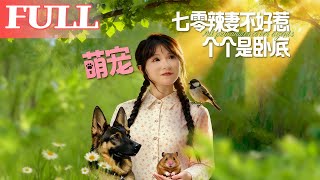 七零辣妻不好惹，萌寵個個是臥底