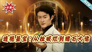 Clairvoyant Treasure Appraiser: From Ragpicker to Gambling Stone Tycoon