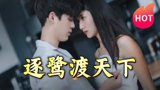 逐鷺渡天下