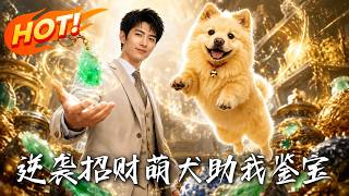 Counterattack: The Lucky Cute Dog Helps Me Appraise Antiquities