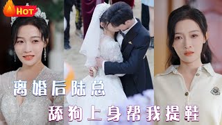 離婚後，陸縂舔狗上身幫我提鞋