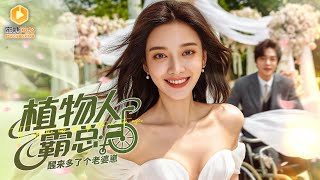 婚禮生子遭豪門敺逐，植物人丈夫連夜追妻三百裡