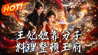 王妃她靠分子料理整頓王府