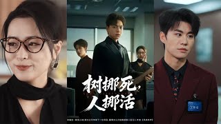 A Tree Dies, A Person Thrives: Lv Jie's Comeback