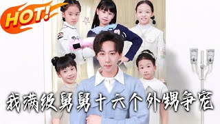 我满级舅舅十六个外甥争宠