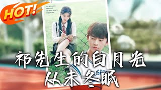 祁先生的白月光从未冬眠