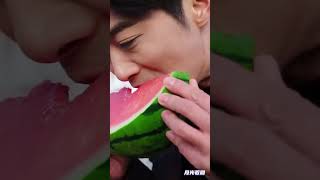 三毛西瓜錢