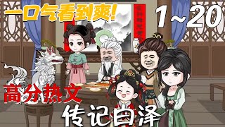 传记白泽：逆天修仙之旅