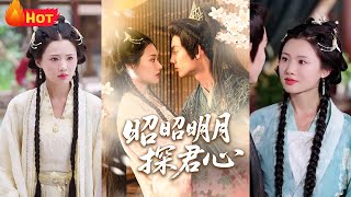 昭昭明月探君心