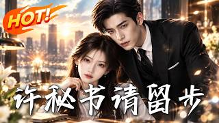 《许秘书，请留步》