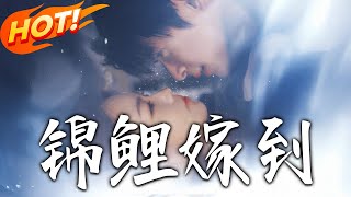The Koi's Arrival: Matrimony