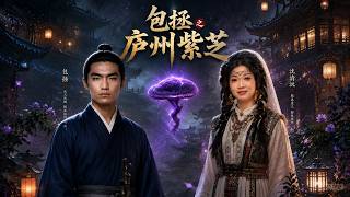 Bao Zheng: The Purple Ganoderma of Lu Zhou