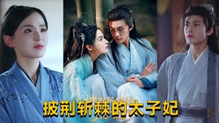 《披荊斬棘的太子妃》