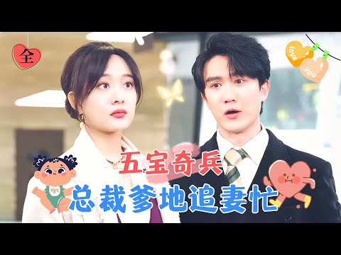天才五寶的浪漫邂逅