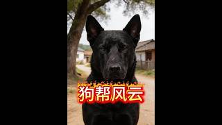 Dog Gang Storm: AI Chronicles