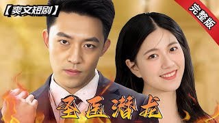 聖毉潛龍：逆襲之路