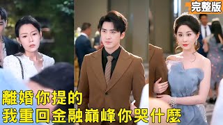 Birthday Banquet to Divorce: The Financial CEO's Counterattack