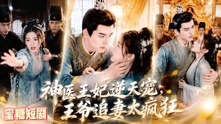 医女穿越：王爷追妻宠上天
