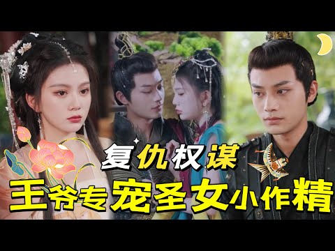 南疆聖女的逆襲：江家傳奇