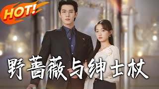 The Wild Rose and the Gentleman's Cane