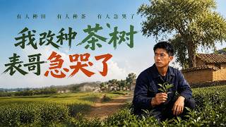 I Switched to Planting Tea Trees, My Cousin Burst into Tears
