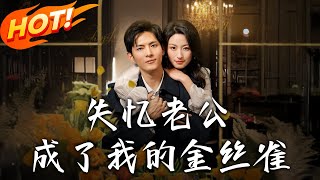 失忆老公成了我的金丝雀