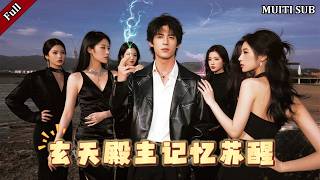 赘婿觉醒：玄天殿主归来