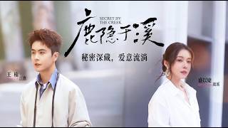《鹿隐于溪》