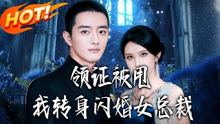 领证被甩我转身闪婚女总裁