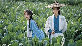 穿越惡婆：逆天改命