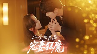 二少接盘成宠妻狂魔